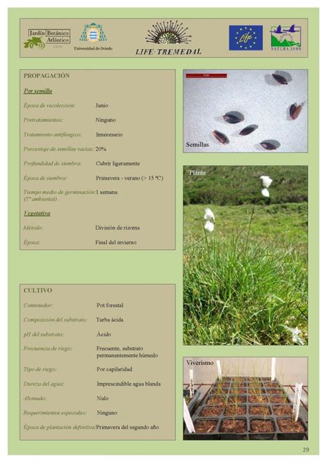 Finalizados los protocolos de germinación y cultivo de 20 especies de