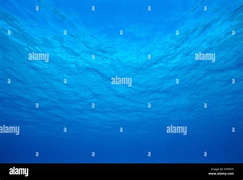 oceans surface   pacific ocean stock photo alamy