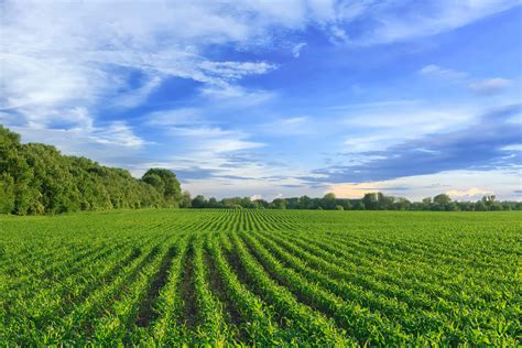 Rural Credit Policy In Brazil Agriculture Environmental Protection