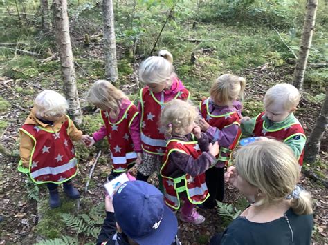 Skolbanken Vi Hittar Fyra Nya Barababarn I Skogen