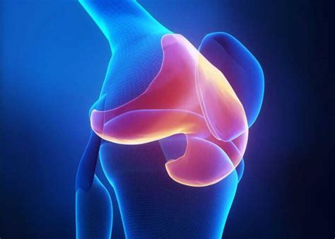 Cartilage Injuries Of The Knee Orthopedic Knee Specialist Manhattan