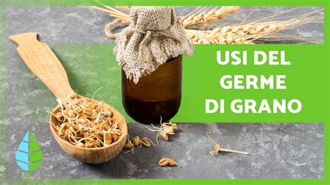 Benefici Del Germe Di Grano Propriet Come Consumarlo E