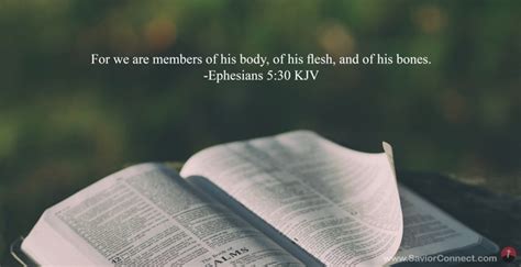 Ephesians 530 Kjv