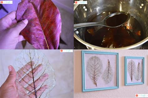 How To Make Skeleton Leaves With Printable Instructions Leaf Crafts