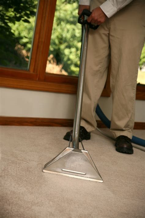 Pet Safe Carpet Cleaners? | ThriftyFun