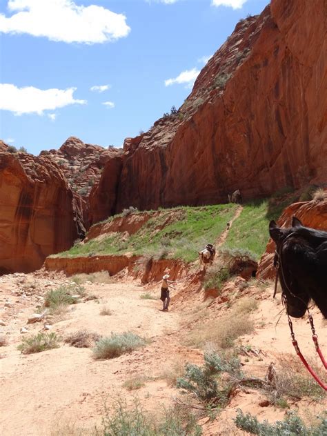 Dream Packer Trail Adventures: Buckskin Gulch, Utah