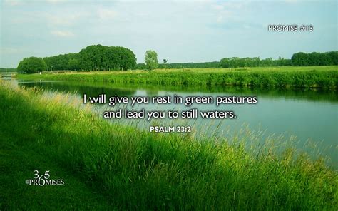 Today’s Promise : I will give you rest in green pastures and lead you ...