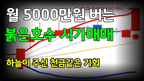 두올 🔥평생 써먹는 무조건 월 5000이상 수익 내는 가장 확실한 시가매매법 공개합니다 주식초보도 쉽게 99 성공하는 매매