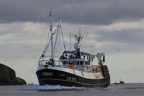 Key Commercial Fish Stocks At Record Levels The Shetland Fishermen