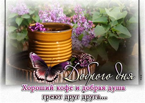 Хороший кофе и добрая душа греют друг друга... - Скачать бесплатно на ...