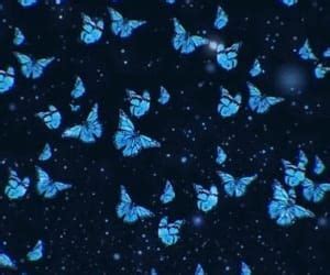 Light Blue Cute Blue Butterfly Wallpaper - Download Free Mock-up