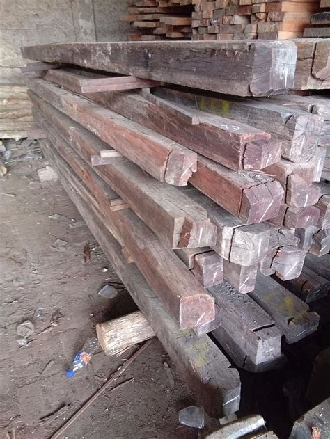 Kategori D Kayu Besi Sulawesi 1515400cm 500cm •
