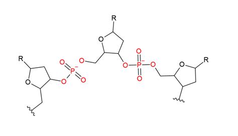 Nucleotides Chemtalk