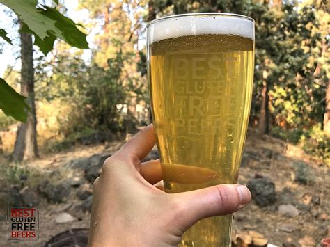 Holidaily Brewing Favorite Blonde Ale Best Gluten Free Beers