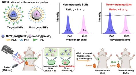 Near Infrared Ii Ratiometric Fluorescence Probes For Non Invasive