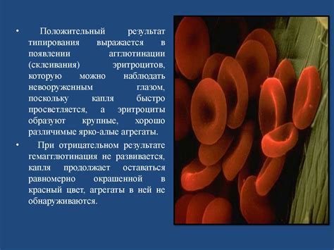 Определение группы крови по системе АВ0 моноклональными антителами ...