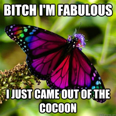 Gay Butterfly Memes Quickmeme
