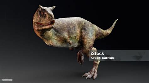 Foto De Carnotaurus Pose Render De Fundo Renderização 3d E Mais Fotos