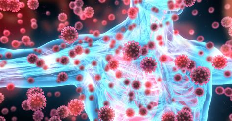 The Dos And Donts Of Supporting A Healthy Immune System Ctca