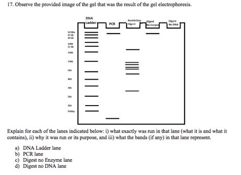 Solved Observe The Provided Image Of The Gel That Was Chegg