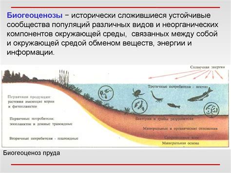 Введение в биологию - презентация онлайн