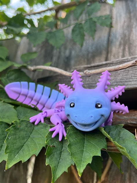 Big Smile Axolotl Articulated Fidget made to Order Sensory - Etsy Australia