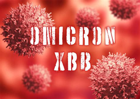 Things You Need To Know About Xbb Covid Variant