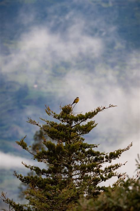 El Lugar Donde Nacen Las Nubes Behance