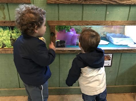 A new education center is coming to the austin zoo soon 3