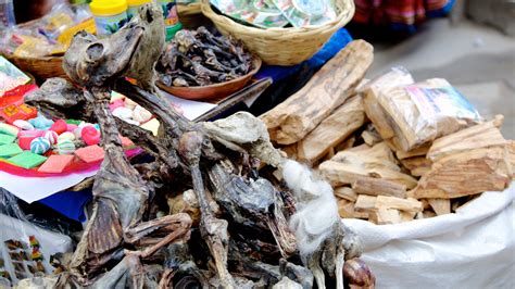 Mercado Las Brujas Guia de Atrações em La Paz o que ver o que fazer