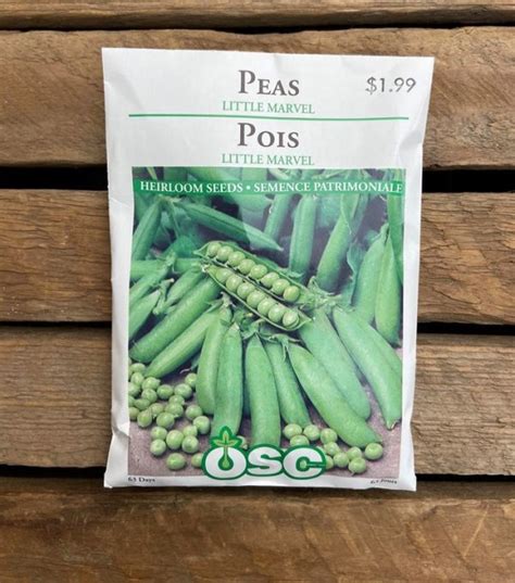 OSC PEAS LITTLE MARVEL – Oceanview Home and Garden