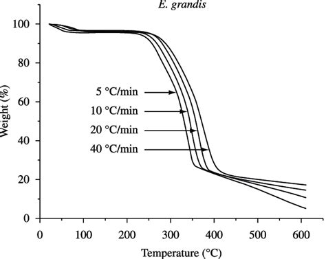 Thermograms TGA With Different Heating Rates For E Grandis