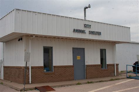 Plainview Animal Shelter To Update Its Building