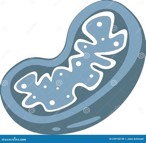 Mitochondria The Powerhouse Of The Cell Cartoon Vector Cartoondealer