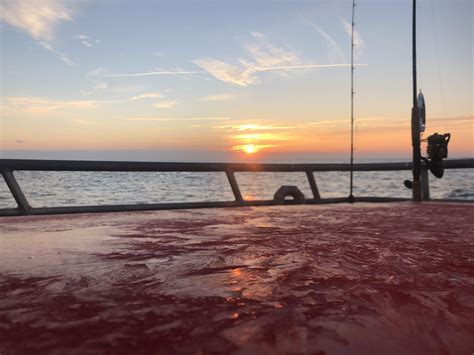 voyager sport fishing 4