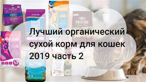 Лучший сухой корм для домашней кошки - Kotikmeow