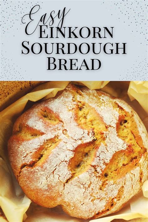 Beginner S Guide To Einkorn Sourdough Bread