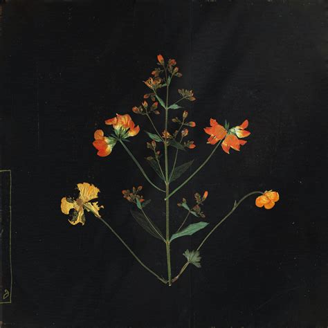 one last thing you never said by Leaving Laurel | Releases | Anjunadeep