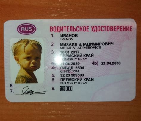 Сувенирные водительские права. Создание и изготовление. В личку. 2025 ...