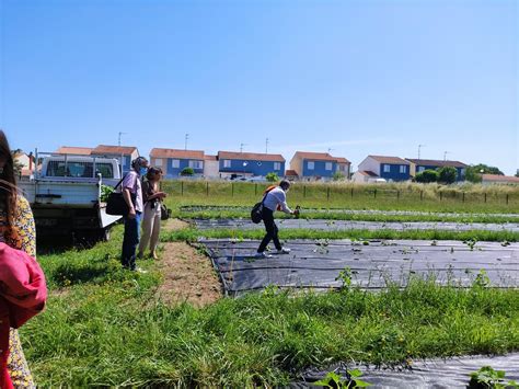 Lormont Visite Au Grand Tressan Grand Projet Des Villes Rive Droite