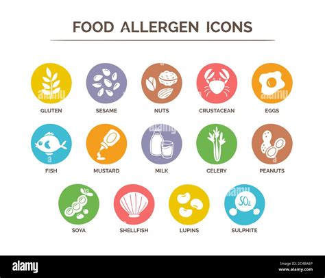 Food Safety Allergy Icons Set 14 Food Ingredients That Must Be