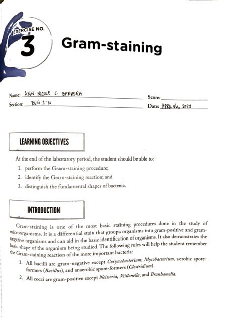 Exercise 3 - Gram Staining | PDF