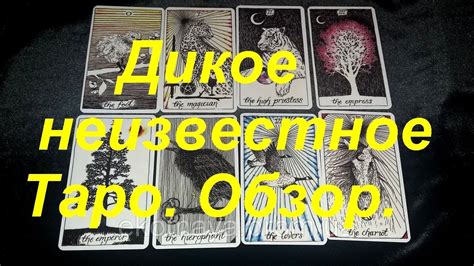 ДИКОЕ НЕИЗВЕСТНОЕ ТАРО. Обзор колоды.Гадание на картах Таро - YouTube