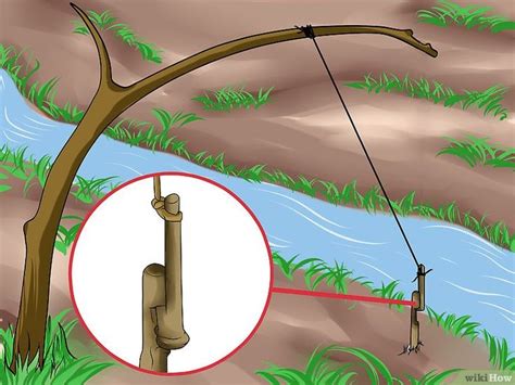 How To Make A Snare Trap A Diy Guide For Beginners Snare Trap Snare