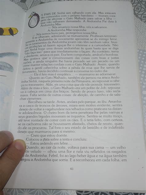 Livro O Gato Malhado E A Andorinha Sinh De Jorge Amado Castelo