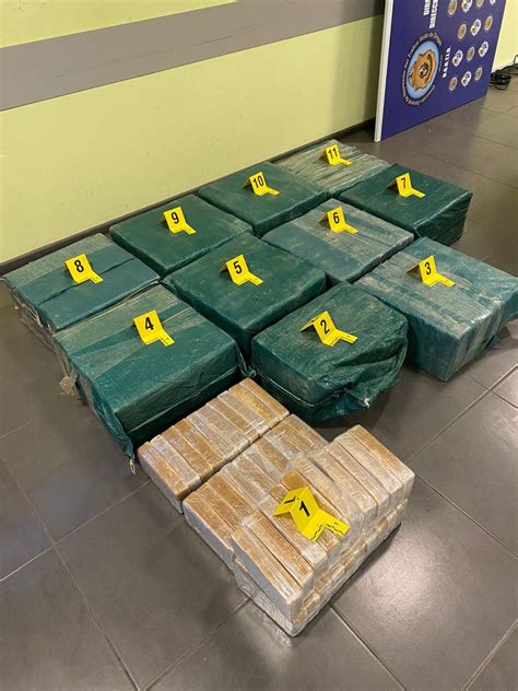 Policía incautó casi 400 kilos de cocaína y pasta base y hay cinco