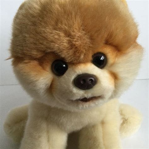 Gund Boo Worlds Cutest Dog From Gund 9 Inch 4029715 Pomeranian Plush