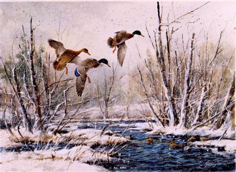 Waterfowl Paintings By Jim Killen A Waterfowl And Hunting Dog Artist