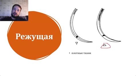 Шовный материал в хирургии. Иглы. Какую применять в том или ином случае ...