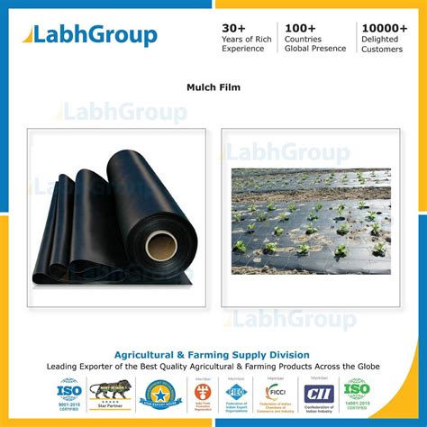 Plastic Mulch Film Biodegradable Mulching Sheet At Kg Farm